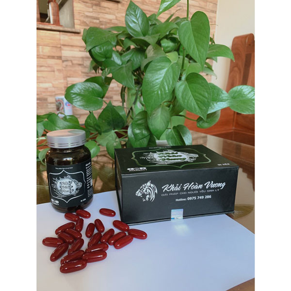 Khải-Hoàn-Vương-baner1