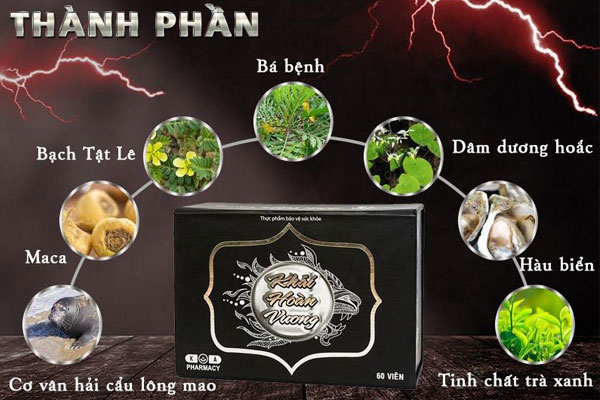Khải-Hoàn-Vương-thanh-phan