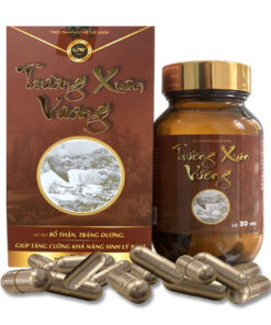 Trường-Xuân-Vương-logo