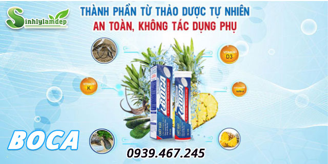 thành phần sản phẩm boca