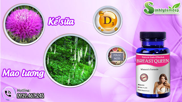 thành phần sản phẩm breast queen