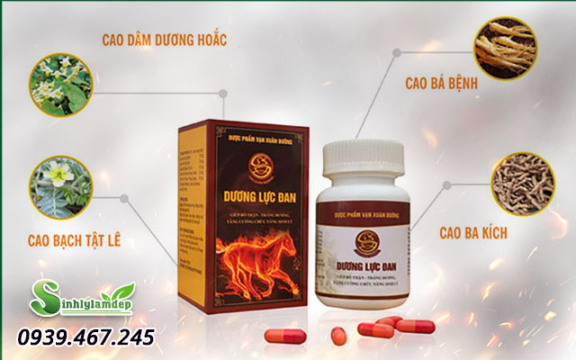 thành phần sản phẩm dương lực đan