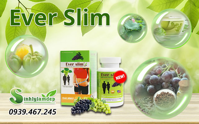 thành phần ever slim