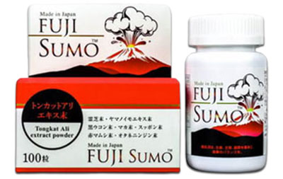 fuji sumo