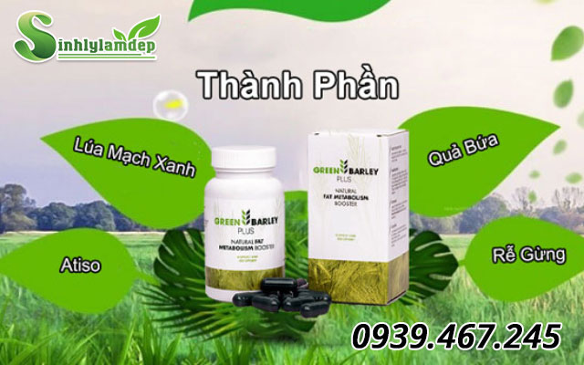 thành phần green barley plus