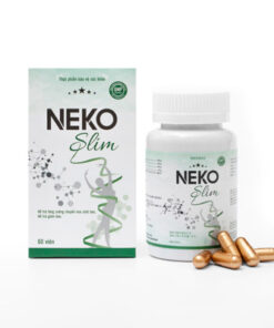 neko-slim-logo1