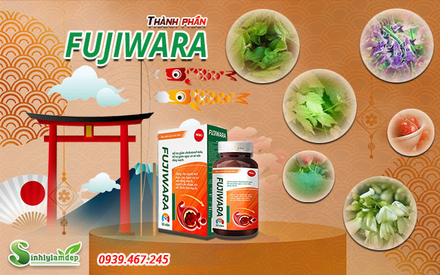 thành phần sản phẩm fujiwara