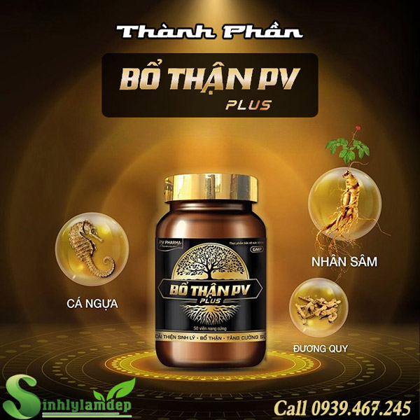 thành phần bổ thận pv plus