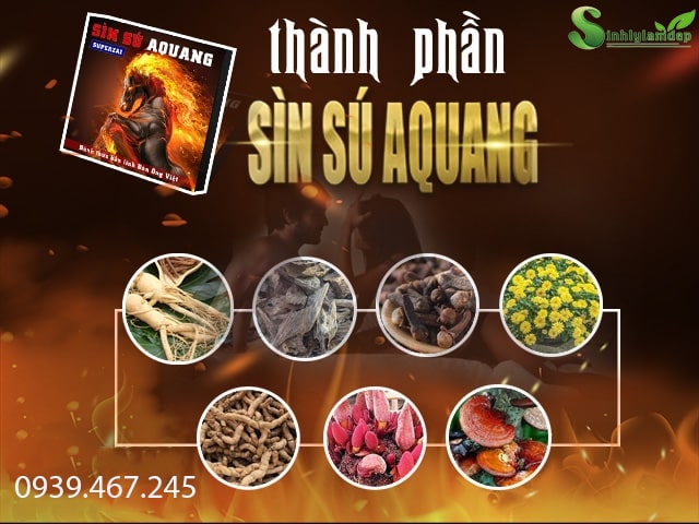 thành phần sìn sú aquang