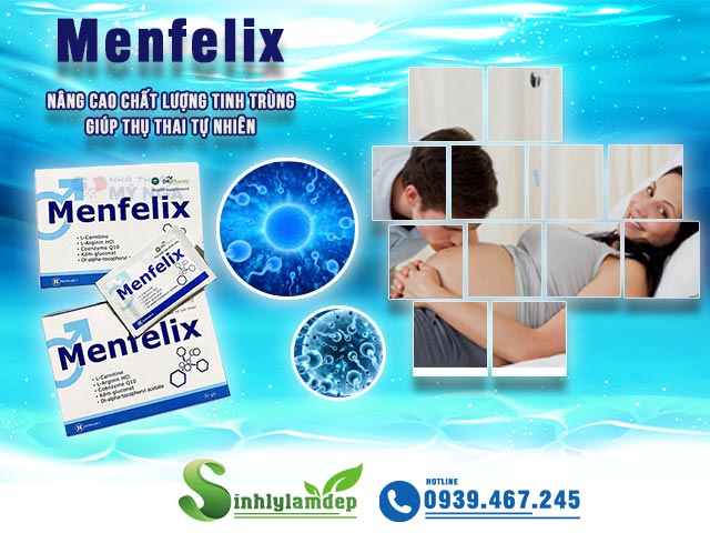 Giới thiệu sản phẩm Menfelix