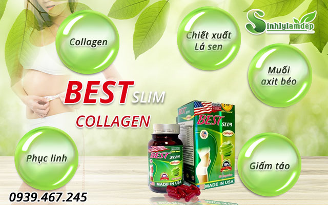 thành phần best slim collagen