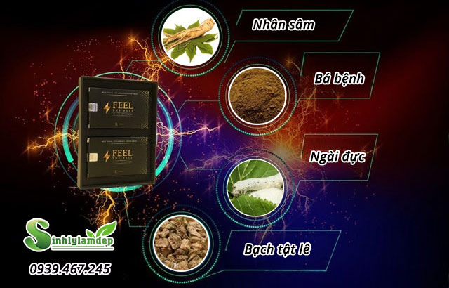 thành phần feel the best