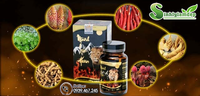 thành phần sản phẩm mãnh lực hoàn