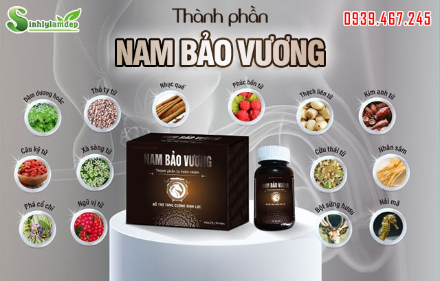 thành phần nam bảo vương