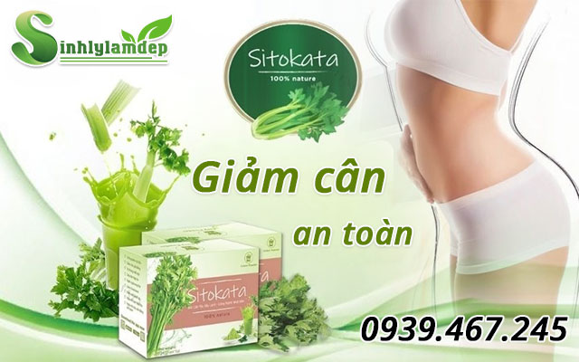 giới thiệu sản phẩm sitokata