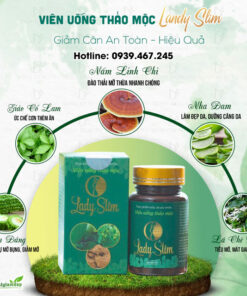 Thành phần viên uống thảo mộc giảm cân Lady Slim