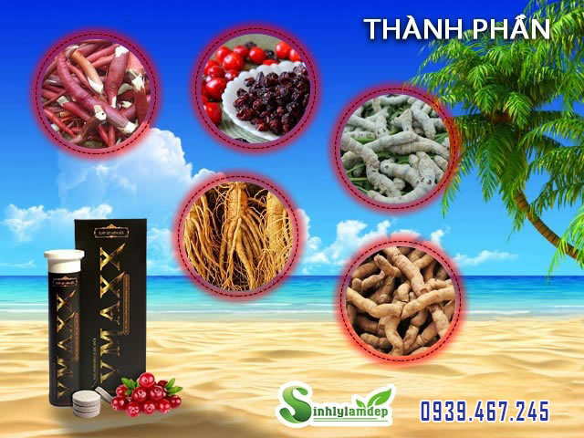 thành phần vmaxx