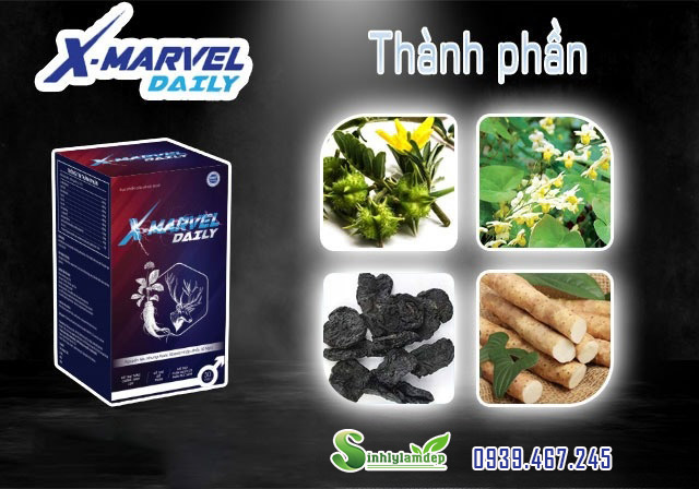 thành phần x marvel daily