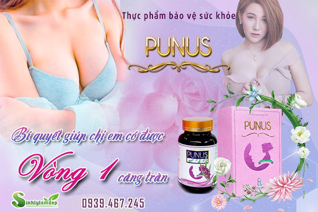giới thiệu sản phẩm punus