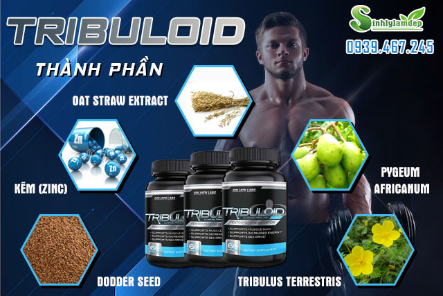 thành phần tribuloid