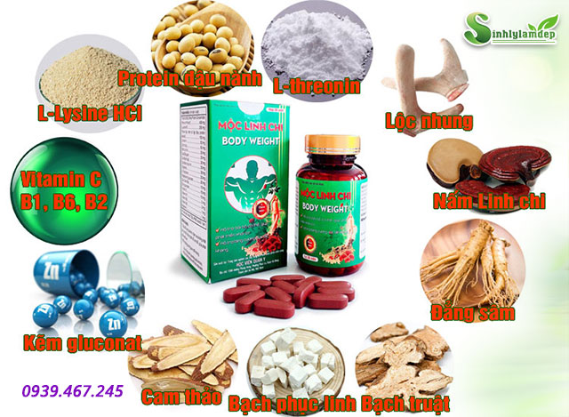 thành phần sản phẩm mộc linh chi