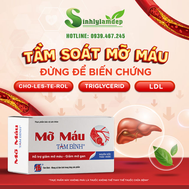 Hiệu quả của Mỡ Máu Tâm Bình