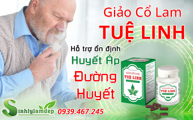 giới thiệu giảo cổ lam tuệ linh