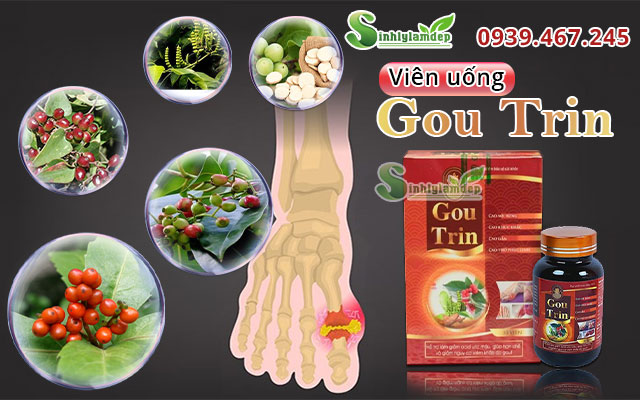 thành phần goutrin