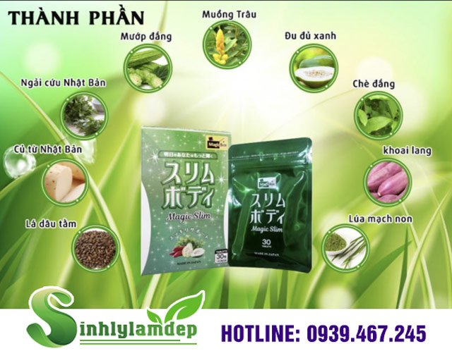 Thành phần của giảm cân Magic Slim