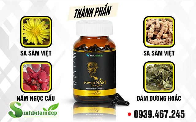 Các thành phần chính của PowerSam